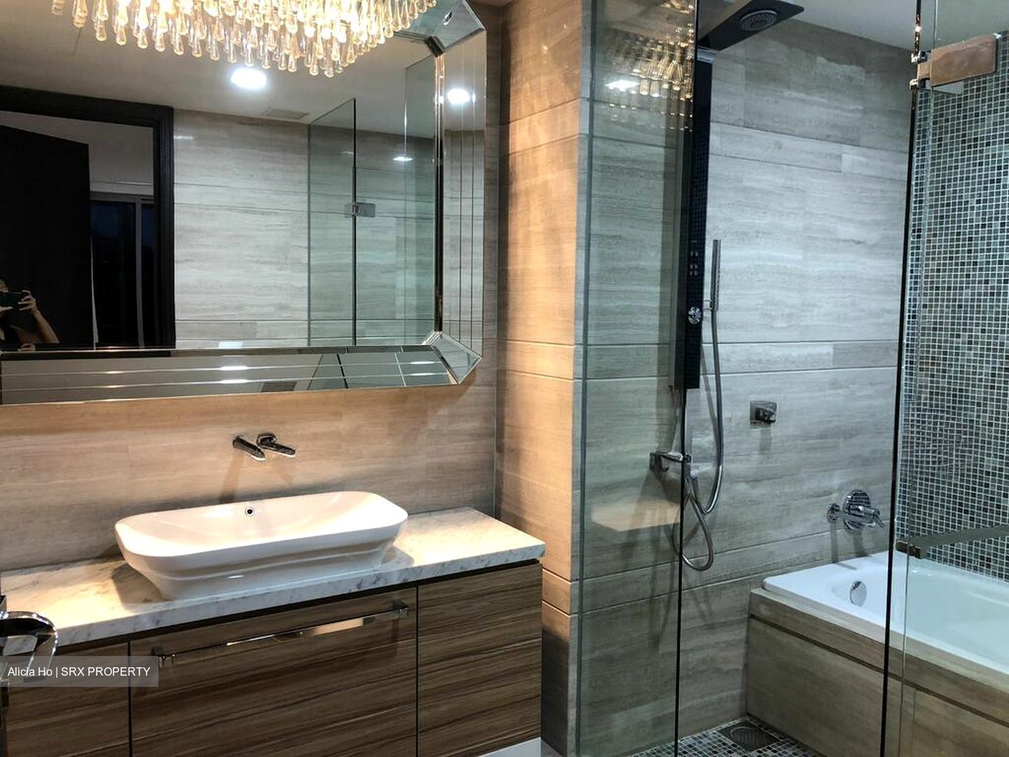 Thomson Grand (D20), Condominium #571842481